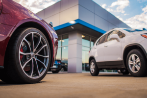 Dandelion Sp. z o.o. to Efektywna Firma, Gepard Biznesu i Mocna Firma Godna Zaufania 2022