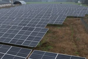 Solid Solar Sp. z o.o. to Brylant Polskiej Gospodarki, Efektywna Firma, Gepard Biznesu i Mocna Firma Godna Zaufania 2023