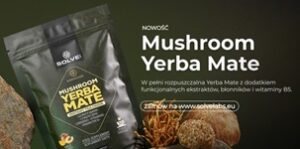 Solve Labs Sp. z o.o. to Brylant Polskiej Gospodarki, Efektywna Firma, Gepard Biznesu i Mocna Firma Godna Zaufania 2024