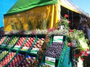 Spółdzielnia Ogrodnicza Ziemi Sądeckiej to Brylant Polskiej Gospodarki i Gepard Biznesu 2022