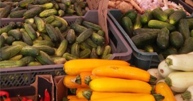 Apel o edukację żywieniową dzieci! Odporność buduje dieta. Dezynfekcja i szczepienia nie wystarczą Apel o edukację żywieniową dzieci! Odporność buduje dieta. Dezynfekcja i szczepienia nie wystarczą