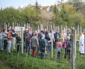 Winnica Świętego Jakuba Sp. z o.o. to Efektywna Firma 2023, Gepard Biznesu 2023 i Mocna Firma Godna Zaufania 2023