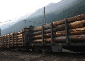 Wood Partners Sp. z o.o. to Brylant Polskiej Gospodarki i Efektywna Firma 2022