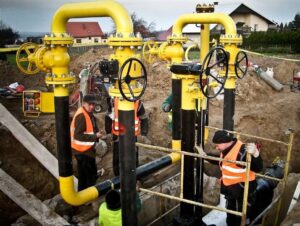 ZMI Wójcik sp.j. to Efektywna Firma 2023