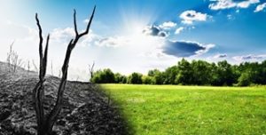 EKO Bolesław Sp. z.o.o. to Brylant Polskiej Gospodarki i Efektywna Firma 2022