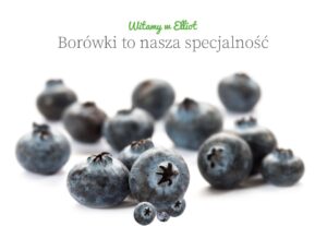 Elliot Podkarpacka Grupa Producentów Borówki Sp. z o.o. to Brylant Polskiej Gospodarki i Gepard Biznesu 2022