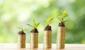 Agrifinance Sp. z o.o. to Efektywna Firma, Gepard Biznesu i Mocna Firma Godna Zaufania 2024