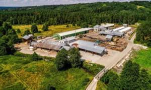 Kleniewski Tartak to Brylant Polskiej Gospodarki, Efektywna Firma, Gepard Biznesu i Mocna Firma Godna Zaufania 2023