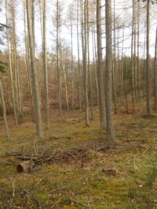 Przedsiębiorstwo Produkcyjno-Wdrożeniowe Manta Sp. z o.o. to Efektywna Firma 2023, Gepard Biznesu 2023 i Mocna Firma Godna Zaufania 2023