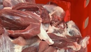 W&K Trading Company Sp. z o.o. to Brylant Polskiej Gospodarki, Efektywna Firma, Gepard Biznesu i Mocna Firma Godna Zaufania 2021