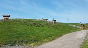 proGEO Sp. z o.o. to Brylant Polskiej Gospodarki , Efektywna Firma, Gepard Biznesu i Mocna Firma Godna Zaufania 2022