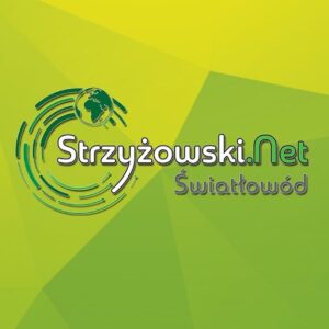 Strzyżowski.Net Michał Gomółka sp.k. to Efektywna Firma 2023