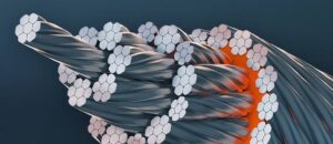 Polsling sp. z o.o. to Gepard Biznesu 2023