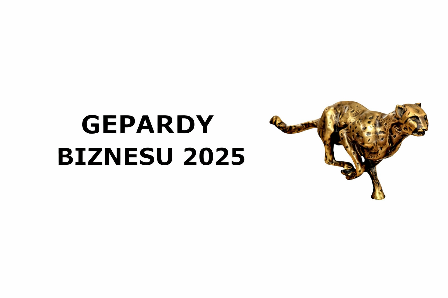5000 najdynamiczniejszych firm w Polsce – Gepardów Biznesu 2025