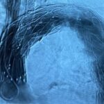Hammermed Medical Polska Sp. z o.o. S.K.A. to Wielki Brylant Polskiej Gospodarki, Wielki Modernizator, Efektywna Firma, Gepard Biznesu i Mocna Firma Godna Zaufania 2025