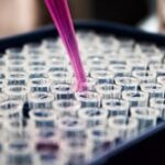 Insula Centrum Badań Klinicznych Sp. z o.o. to Efektywna Firma, Gepard Biznesu i Mocna Firma Godna Zaufania 2024