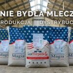 Magia Sp. z o.o. sp.k. to Brylant Polskiej Gospodarki, Efektywna Firma, Gepard Biznesu i Mocna Firma Godna Zaufania 2025