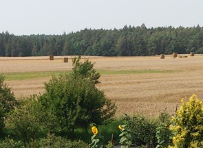 Rolnikom trudno utrzymać opłacalność produkcji