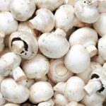 Pilzfood Sp. z o.o. to Gepard Biznesu 2025