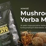 Solve Labs Sp. z o.o. to Brylant Polskiej Gospodarki, Efektywna Firma, Gepard Biznesu i Mocna Firma Godna Zaufania 2024