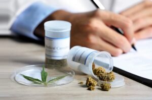 Jak uzyskać receptę na medyczną marihuanę?