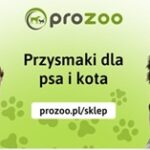 Prozoo Gryń sp.k. to Brylant Polskiej Gospodarki, Efektywna Firma, Gepard Biznesu i Mocna Firma Godna Zaufania 2024